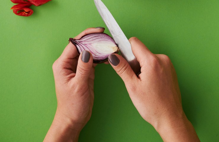 cipolla