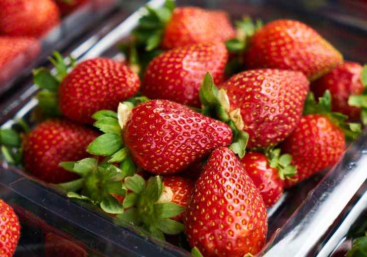 Fragole