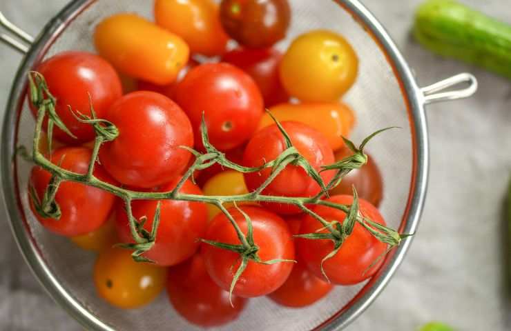 Pomodorini