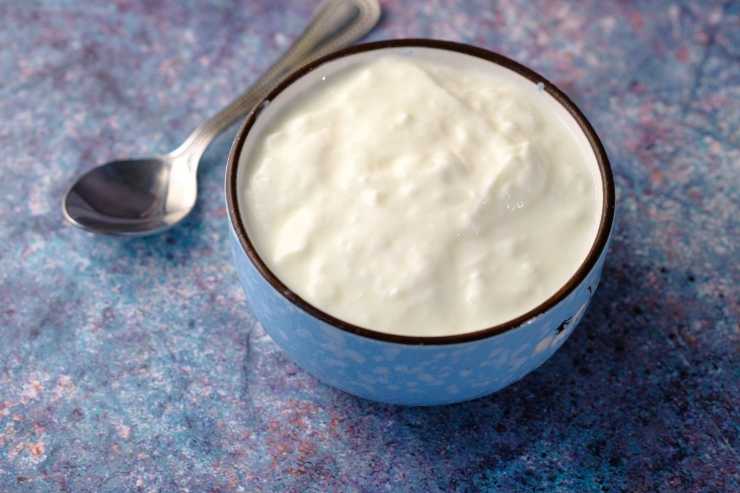 Plumcake yogurt e cioccolato