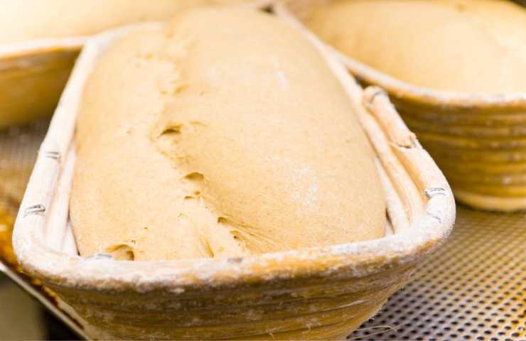 incisione dell'impasto a crudo