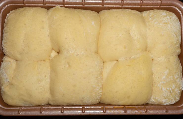 panetti lievitati