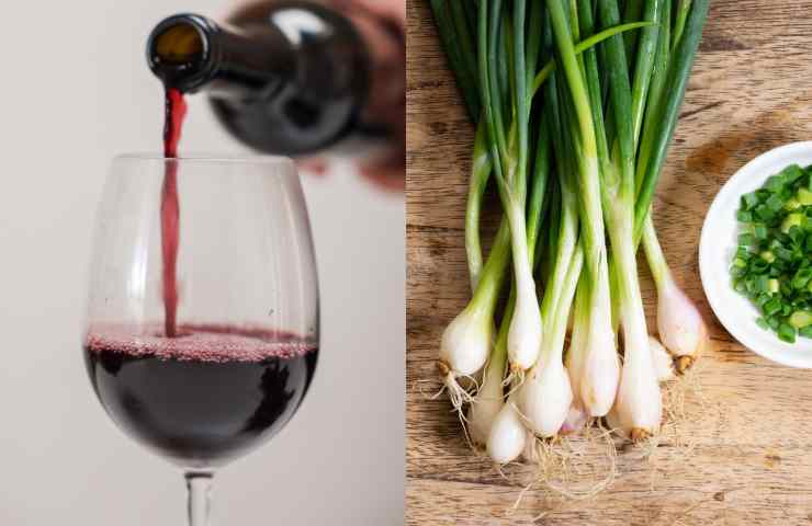 vino e cipolline